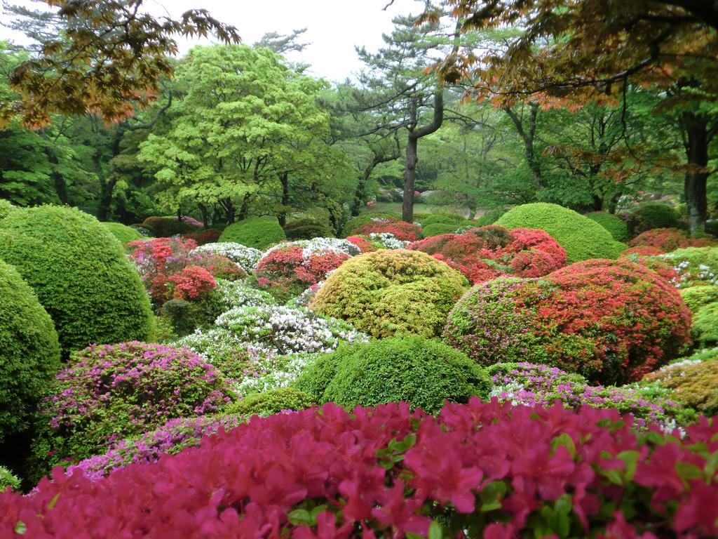 Hakone Kowakien Miyamafurin Hotel Ngoại thất bức ảnh