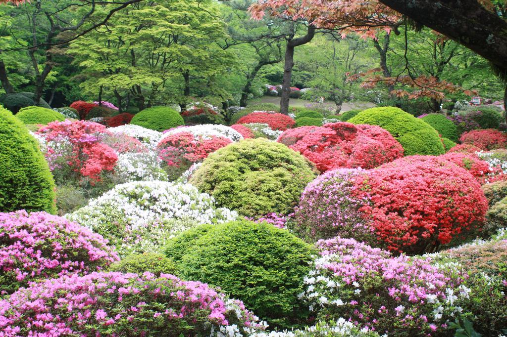 Hakone Kowakien Miyamafurin Hotel Ngoại thất bức ảnh