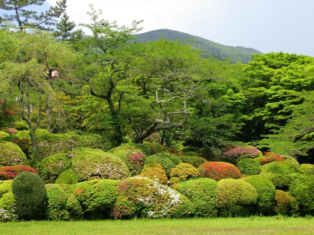 Hakone Kowakien Miyamafurin Hotel Ngoại thất bức ảnh