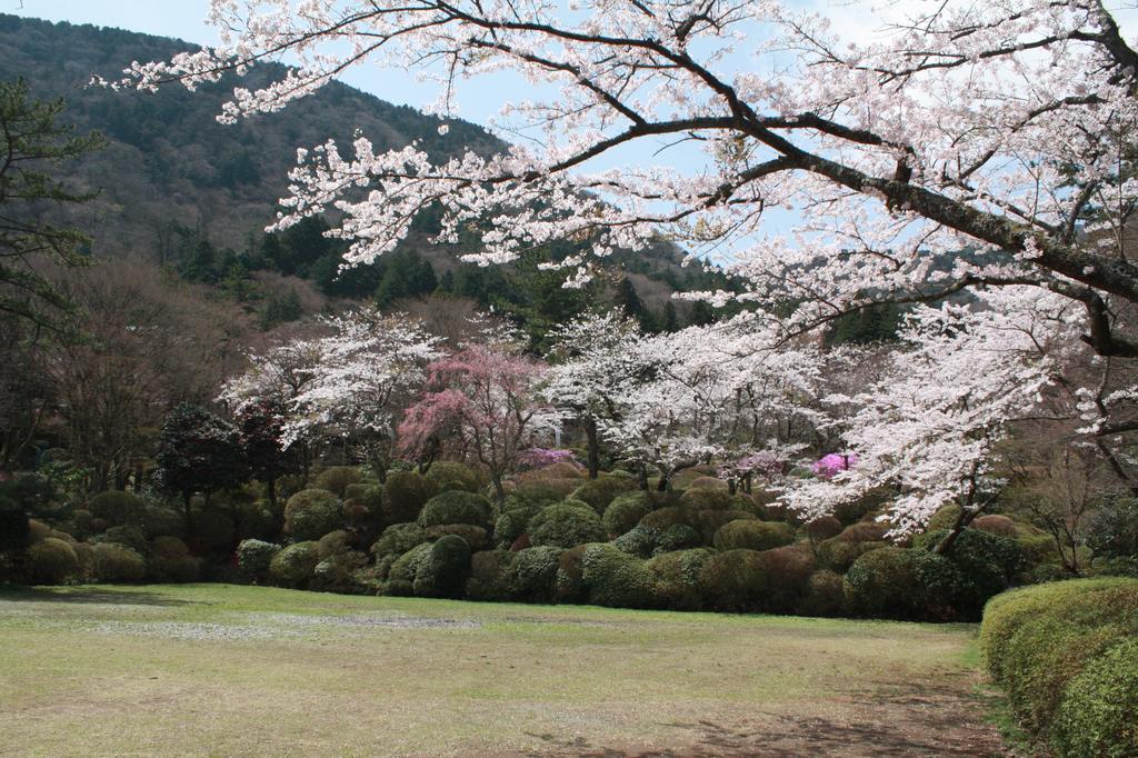 Hakone Kowakien Miyamafurin Hotel Ngoại thất bức ảnh