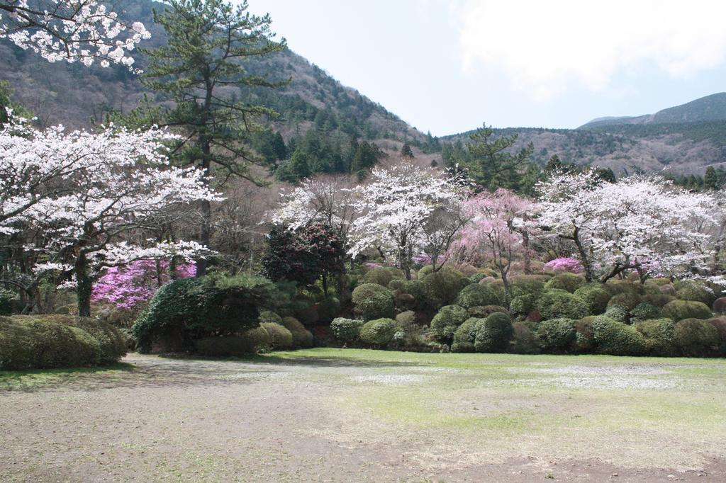 Hakone Kowakien Miyamafurin Hotel Ngoại thất bức ảnh